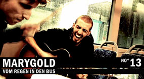 Marygold